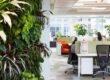 Modern interior design with vertical garden, natural light, and greenery-infused workstations promoting wellness through biophilic design.